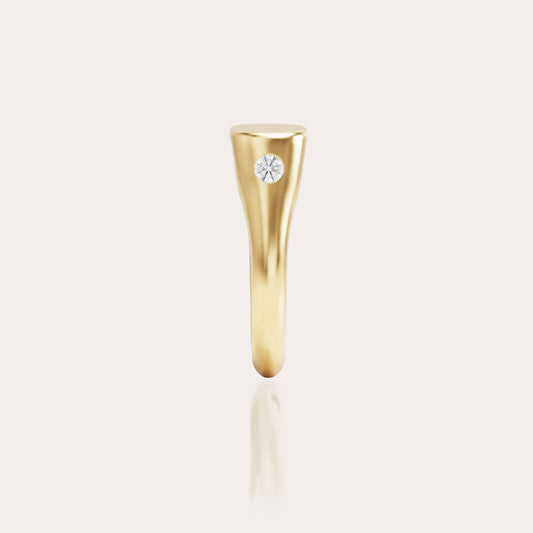 The Signet by Tess